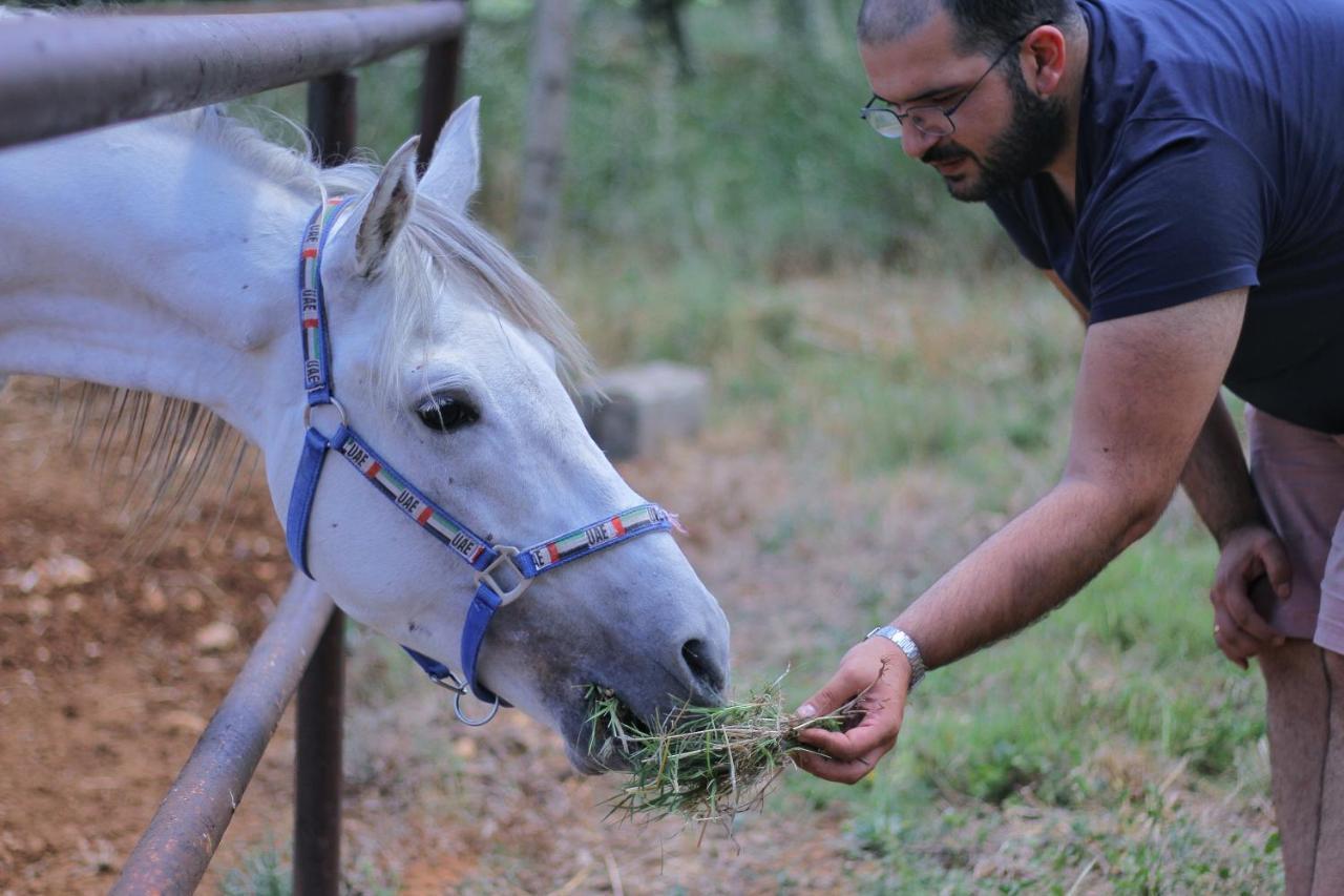 הוילה Kfar Hazir The Ranch מראה חיצוני תמונה