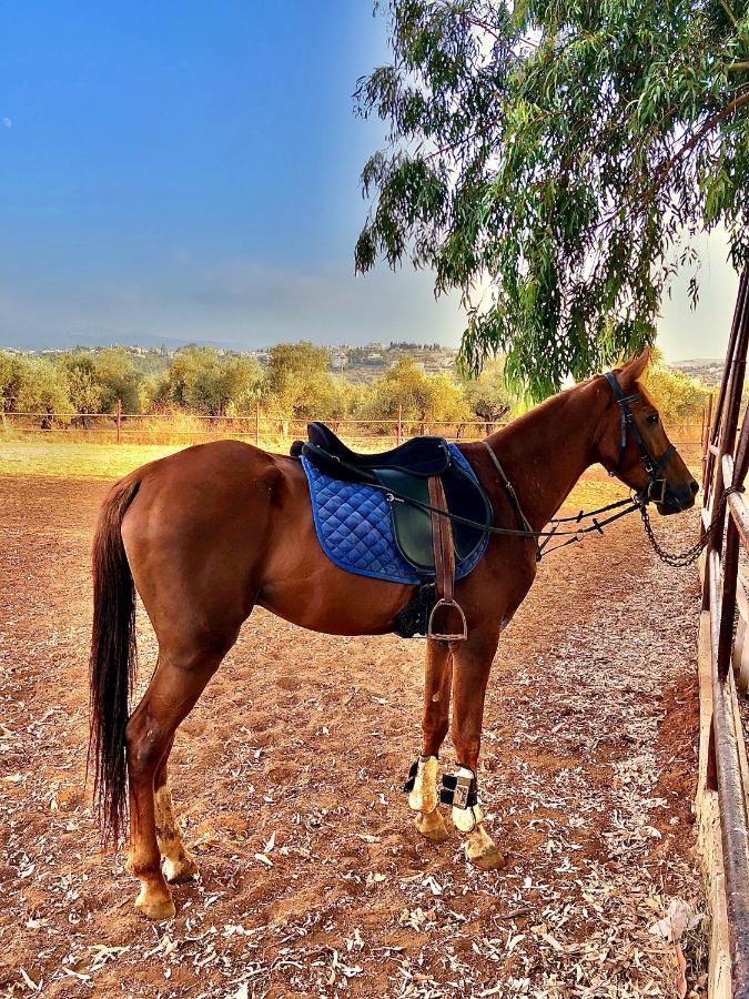 הוילה Kfar Hazir The Ranch מראה חיצוני תמונה